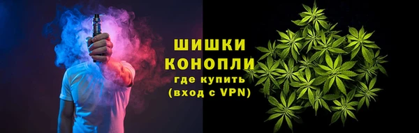 ешки Корсаков