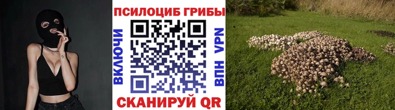 купить закладку Невинномысск Псилоцибиновые грибы Cubensis